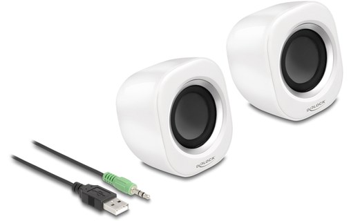 Enceinte PC Delock 27008, Blanche