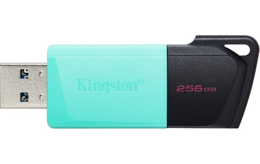Kingston Technology DataTraveler 256GB USB3.2 Gen1 Exodia M (Noir + Turquoise)