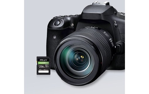 Carte SDXC PNY EliteX-PRO60 256 Go, UHS-II, V60