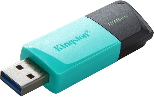 Kingston Technology DataTraveler 256GB USB3.2 Gen1 Exodia M (Noir + Turquoise)