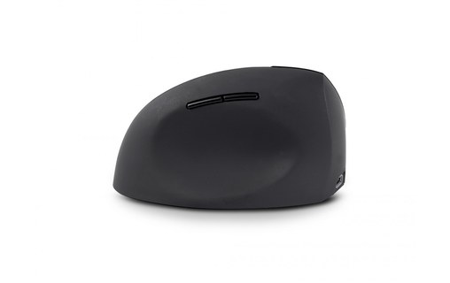 Souris sans fil Urban Factory ERGO Next - Noire - Pour gaucher, Ergonomique