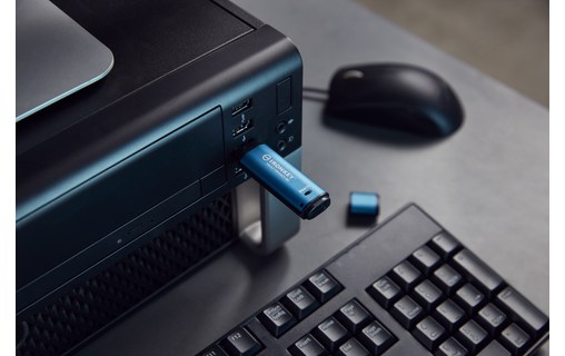Clé USB Kingston IronKey Vault Privacy 50 256 Go - Bleu, Noir - USB 3.2
