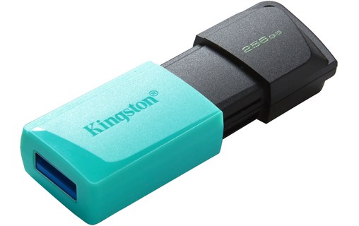 Kingston Technology DataTraveler 256GB USB3.2 Gen1 Exodia M (Noir + Turquoise)