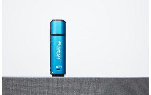 Clé USB Kingston IronKey Vault Privacy 50 256 Go - Bleu, Noir - USB 3.2