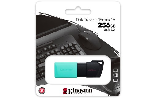Kingston Technology DataTraveler 256GB USB3.2 Gen1 Exodia M (Noir + Turquoise)