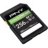 Carte SDXC PNY EliteX-PRO60 256 Go, UHS-II, V60