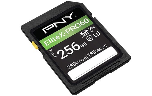 Carte SDXC PNY EliteX-PRO60 256 Go, UHS-II, V60