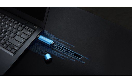 Clé USB Kingston IronKey Vault Privacy 50 256 Go - Bleu, Noir - USB 3.2