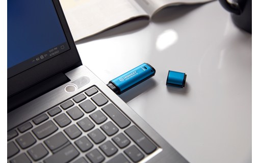 Clé USB Kingston IronKey Vault Privacy 50 256 Go - Bleu, Noir - USB 3.2