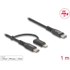Câble Delock USB-C vers USB-C / Lightning 60 W - 1 m - Noir