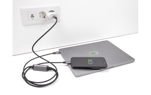 Câble Delock USB-C vers 2x USB-C 100 W - 1,2 m - Gris