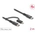 Câble Delock USB-C vers USB-C / Lightning - 2 m - Noir