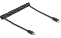 Câble Delock USB-C vers USB-C USB 2.0 - 75 cm - Noir