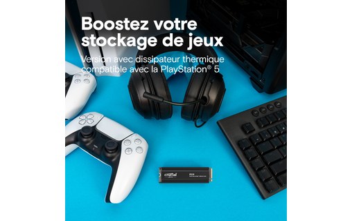Crucial P310 2 To - SSD M.2 2280 NVMe PCIe 4.0 avec dissipateur