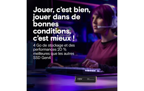 Crucial P310 2 To - SSD M.2 2280 NVMe PCIe 4.0 avec dissipateur