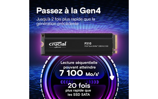 Crucial P310 2 To - SSD M.2 2280 NVMe PCIe 4.0 avec dissipateur