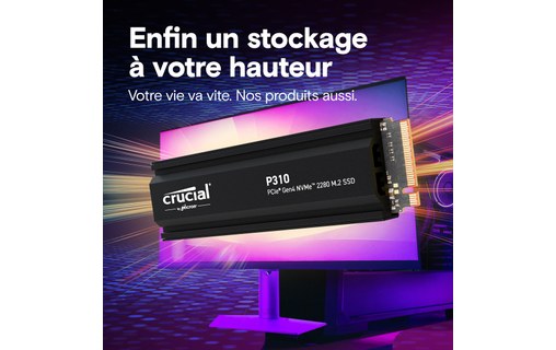 Crucial P310 2 To - SSD M.2 2280 NVMe PCIe 4.0 avec dissipateur