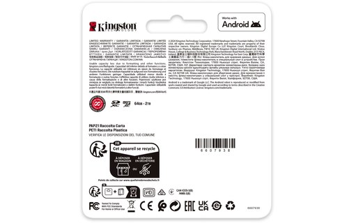 Carte SDXC Kingston Canvas Go Plus Gen4 64 Go, UHS-I, V30