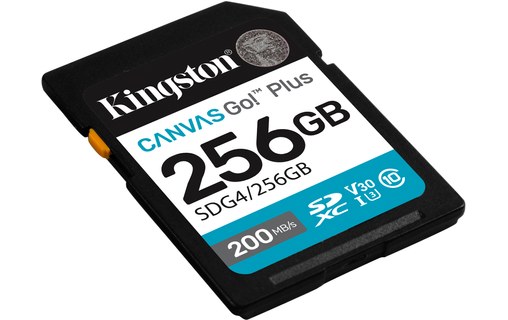 Carte SDXC Kingston Canvas Go Plus Gen4 256 Go, UHS-I, V30