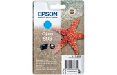CONSOMMABLE EPSON C 13 T 03 U 24010