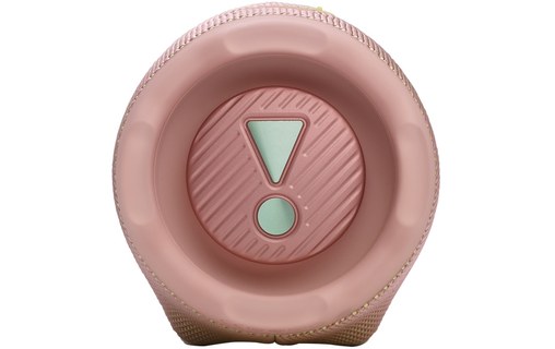 Enceinte Bluetooth JBL Charge 6 - Rose
