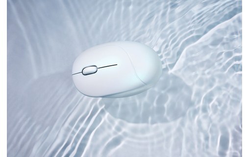 Souris sans fil Asus Fragrance Mouse MD101 - Blanche