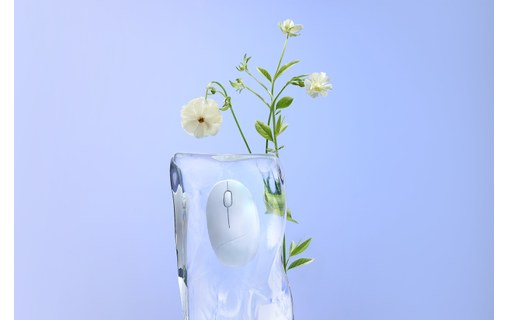 Souris sans fil Asus Fragrance Mouse MD101 - Blanche