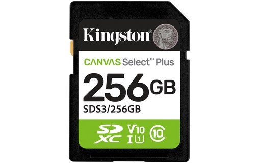 Carte SD Kingston Canvas Select Plus Gen3 256 Go, UHS-I, V10