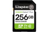Carte SD Kingston Canvas Select Plus Gen3 256 Go, UHS-I, V10