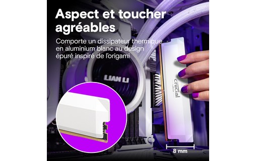 Mémoire RAM Crucial Pro OC White 64 Go (2 x 32 Go) DDR5 U-DIMM 6000 MHz