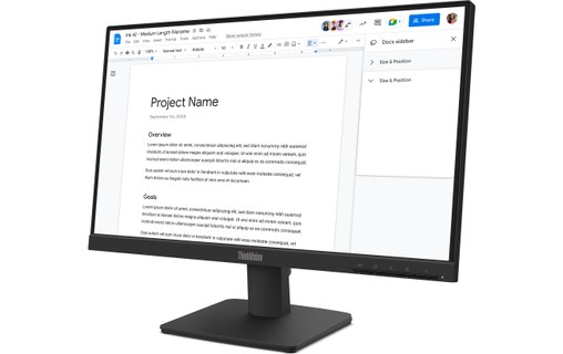 Écran 21,5" Lenovo ThinkVision S22-4e