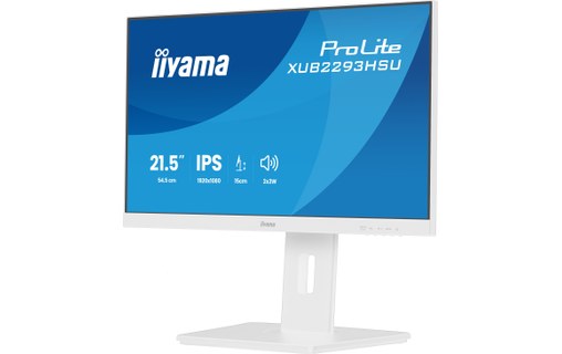 Écran 21,5" iiyama ProLite XUB2293HSU-W7