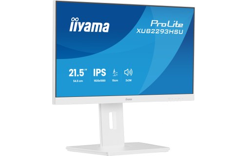 Écran 21,5" iiyama ProLite XUB2293HSU-W7