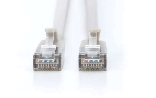 Câble ethernet RJ45 Cat 6a FFTP - Digitus - 10 m - Gris