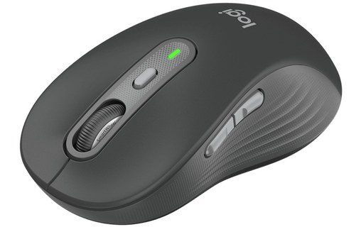 Souris sans fil Logitech Signature Plus M750L - Graphite