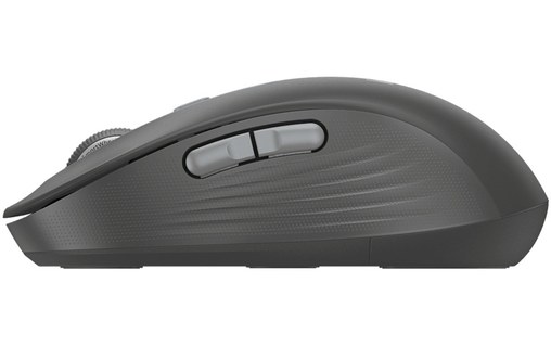 Souris sans fil Logitech Signature Plus M750L - Graphite
