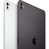 Apple iPad Pro 11" M5 - WiFi - 2 To - Nano-texturé - Argent