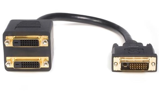 StarTech.com Câble Répartiteur en Y DVI-D vers 2x DVI-D 30 cm - Câble Splitter D