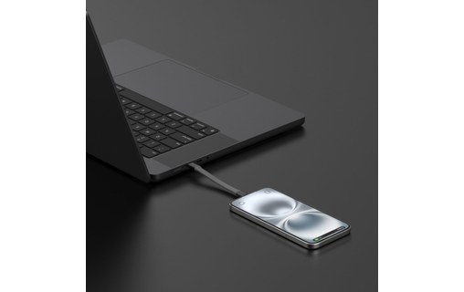 Lot de 30 Câble USB-C - 4Smarts Porte Clé - 30 cm - Gris
