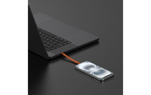 Lot de 30 Câble USB-C - 4Smarts Porte Clé - 30 cm - Gris