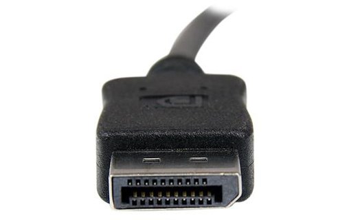 Câble DisplayPort 1.2 - StarTech - 15 m - Noir