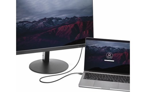 Câble DisplayPort 1.2 vers USB-C - StarTech - 1 m - Noir