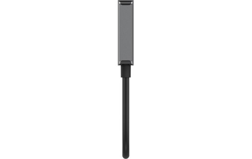 Câble DisplayPort vers HDMI - Belkin - 22 cm - Noir