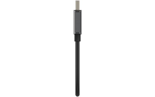 Câble DisplayPort vers HDMI - Belkin - 22 cm - Noir