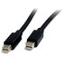 Câble Mini DisplayPort 1.2 - StarTech - 2 m - Noir
