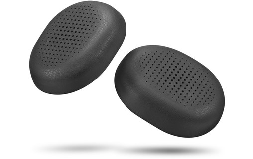 Micro-casque Lenovo VoIP Headset 5000 Stéréo - Noir - USB-C