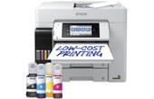 Imprimante multifonction Epson EcoTank Pro ET-5885 - WiFi, AirPrint