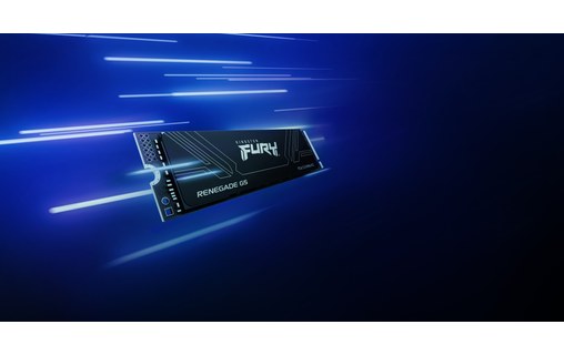 Kingston Fury Renegade 4 To - SSD M.2 2280 NVMe PCIe 5.0 TLC