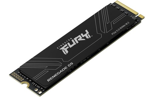 Kingston Fury Renegade 4 To - SSD M.2 2280 NVMe PCIe 5.0 TLC