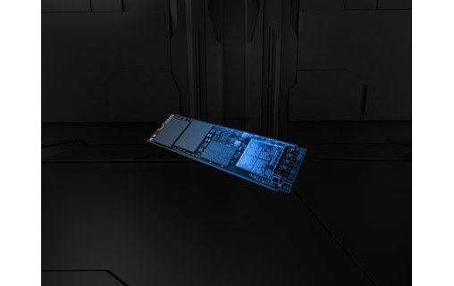 Kingston Fury Renegade 4 To - SSD M.2 2280 NVMe PCIe 5.0 TLC